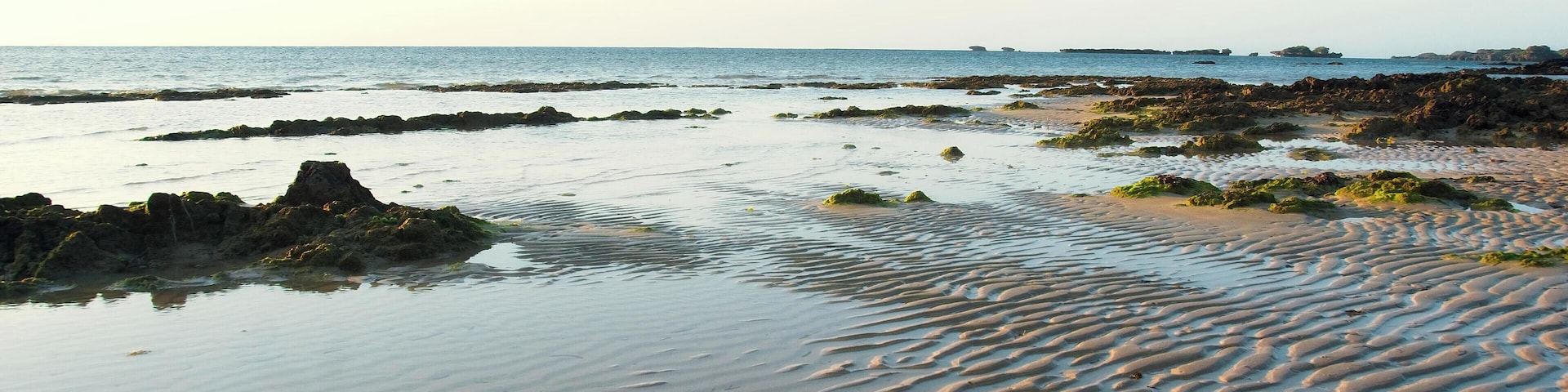 Ein Strand mit gewellten Sandmustern, verstreuten Felsen und vereinzelter Vegetation.