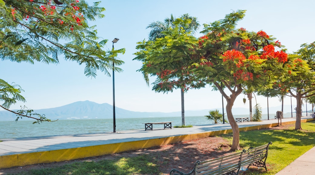 Chapala