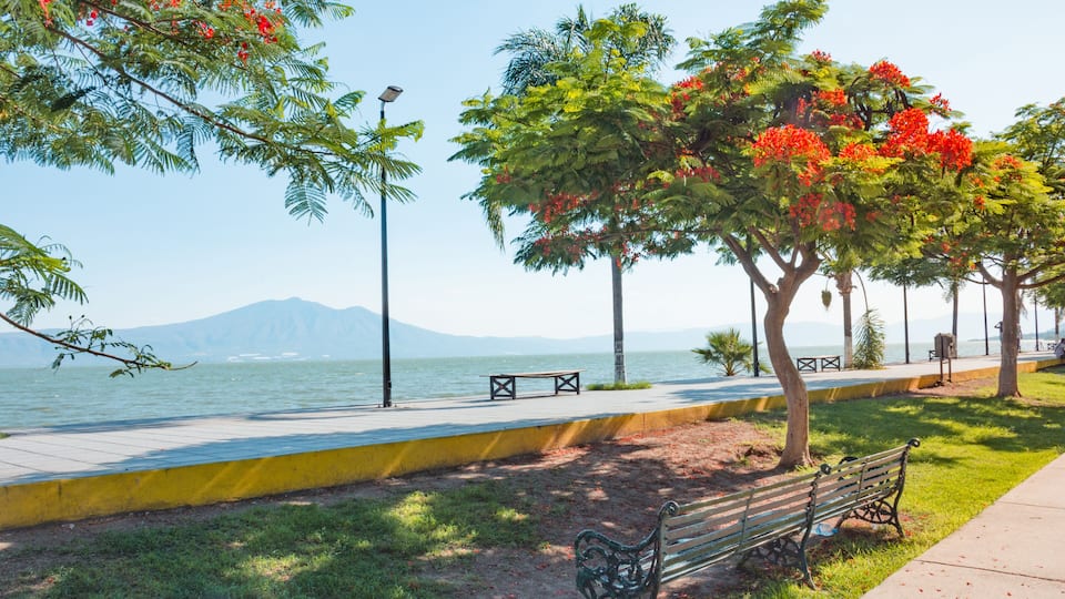A waterfront park with benches, trees, and a clear view of the water and mountains in the background.