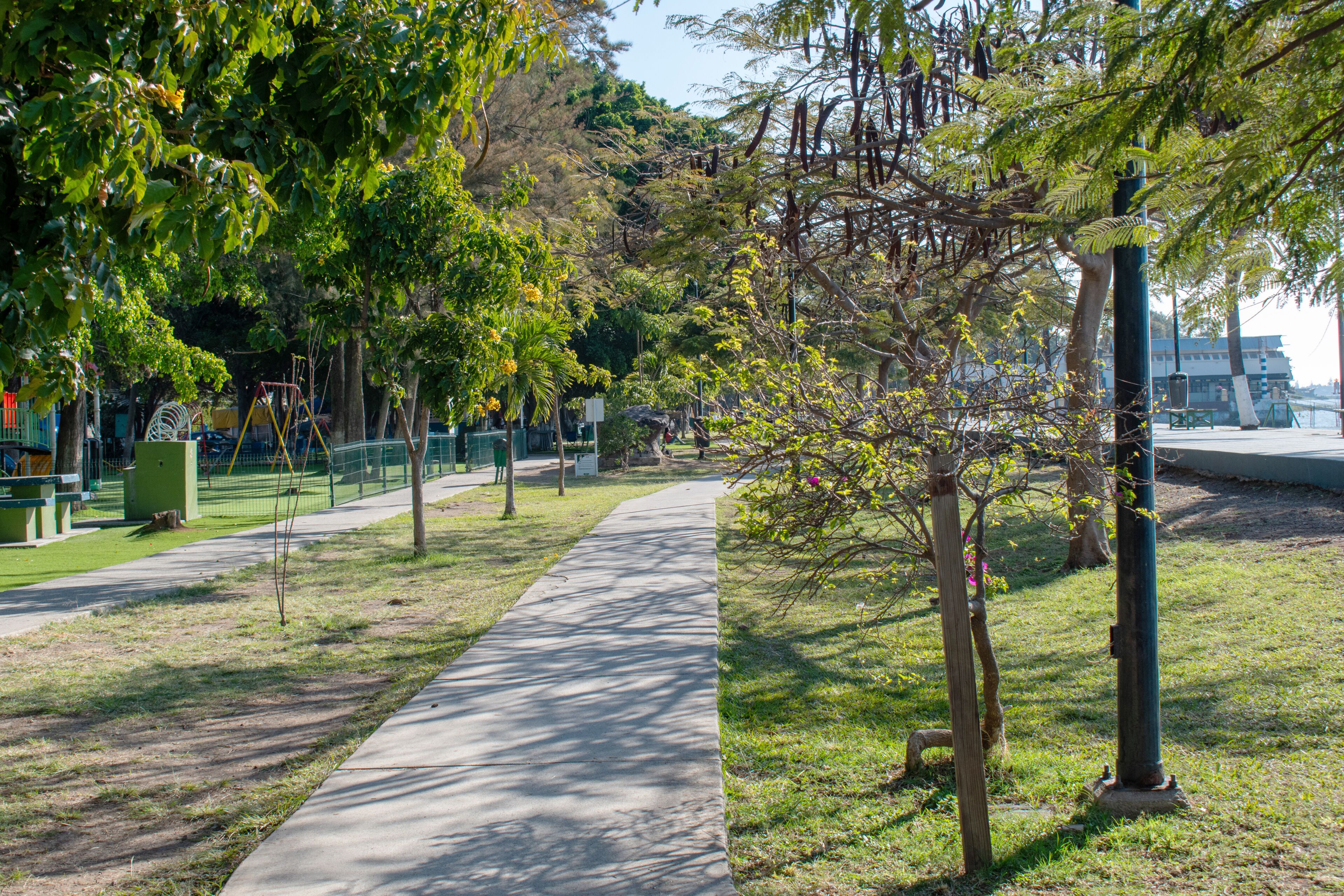A park with a paved walkway, green grass, trees, and playground equipment.