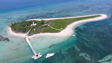 Aerial view of Isla de Enmedio with a pier and boats in the blue water, Veracruz Mexico