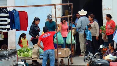 Shopping is a daily activity in El Fuerte and it is a social experience. People say hello, stop for a chat, eat, laugh, argue, play cards and eventually end up with what they came to get.