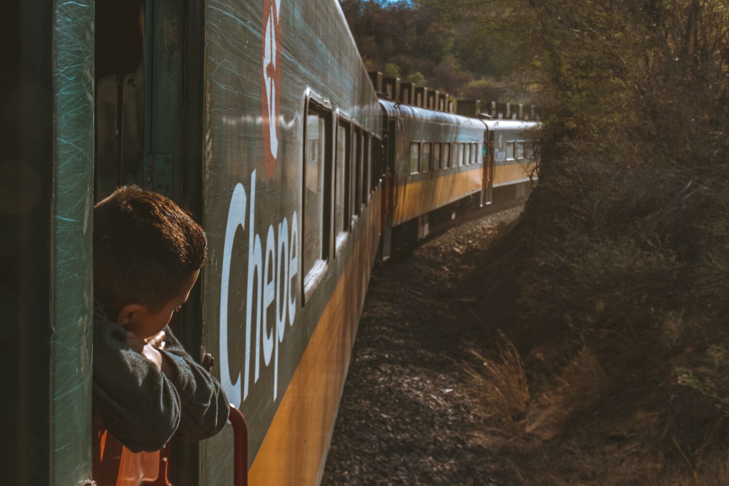 Once on board of El Chepe, there's nothing better to do than hang next to a window and enjoy scenery rolling and  changing from a desert landscape into a luscious pine forest. 