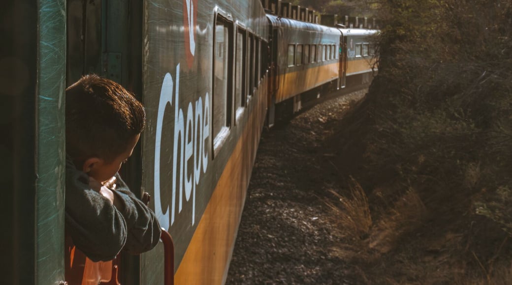 Once on board of El Chepe, there's nothing better to do than hang next to a window and enjoy scenery rolling and changing from a desert landscape into a luscious pine forest.