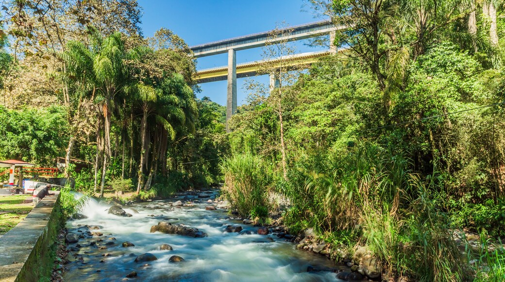 Cañada y Puente de Metlac, Fortín de las Flores, Veracruz.