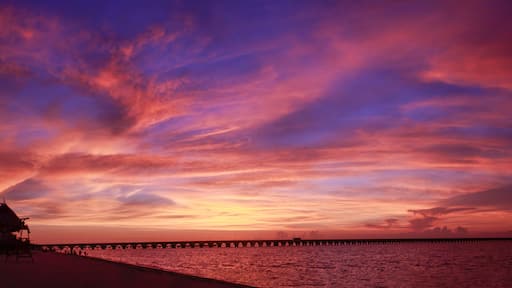 Muelle fiscal Puerto Progreso