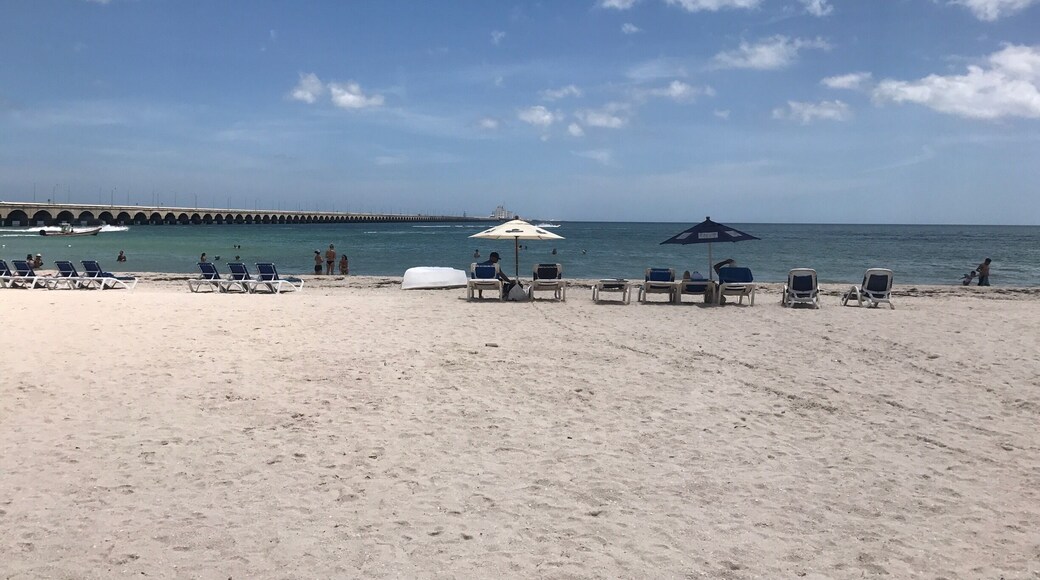 Views from the beach