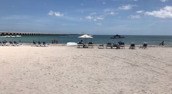 Views from the beach