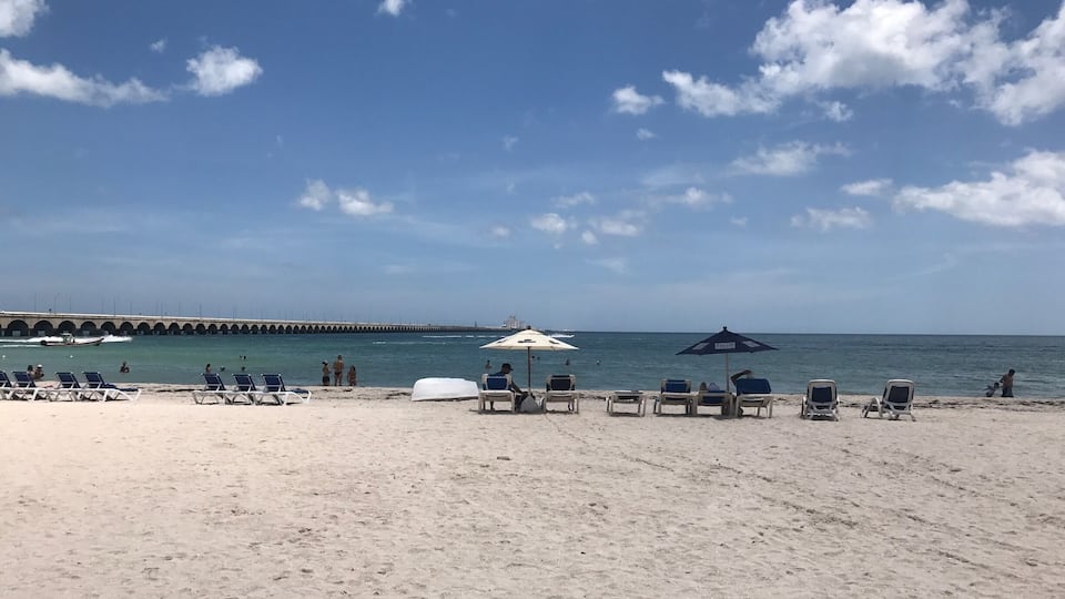 Views from the beach