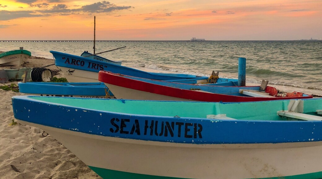 Visiting #Mexico, and particularly the #Yucatan Peninsula? Go off the beaten path and explore the lesser known spots. Get to explore the picturesque towns, taste the authentic food, meet the local people. In other words, see the real Mexico. Puerto Progreso offers beautiful beaches, great sunsets, traditional markets and much more. #LifeAtExpedia #smalltowns #beach #sunset