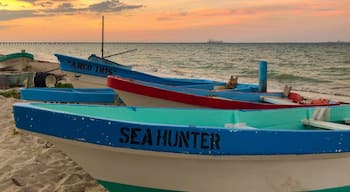 Visiting #Mexico, and particularly the #Yucatan Peninsula? Go off the beaten path and explore the lesser known spots. Get to explore the picturesque towns, taste the authentic food, meet the local people. In other words, see the real Mexico. Puerto Progreso offers beautiful beaches, great sunsets, traditional markets and much more. #LifeAtExpedia #smalltowns #beach #sunset