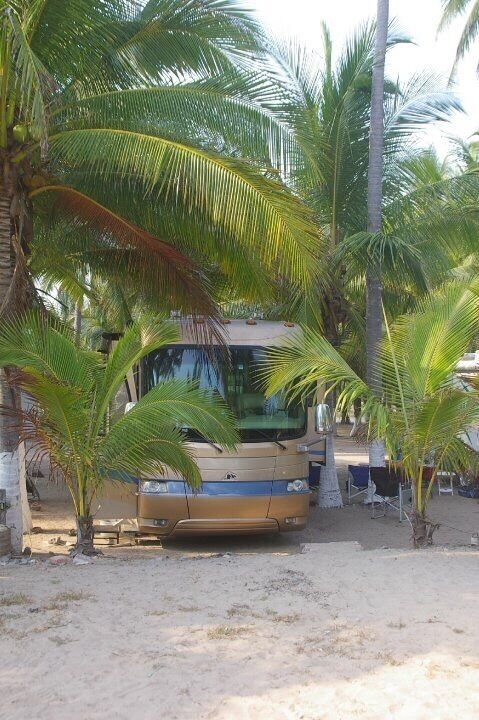 A bus parked on a sandy beach with palm trees.