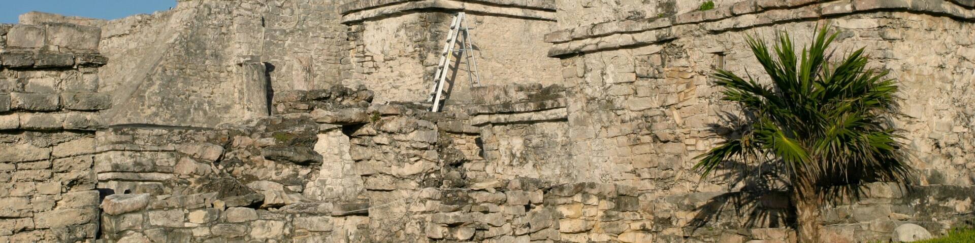 Ancient stone ruins with a ladder leaning against a wall, a palm tree, and a grassy area.