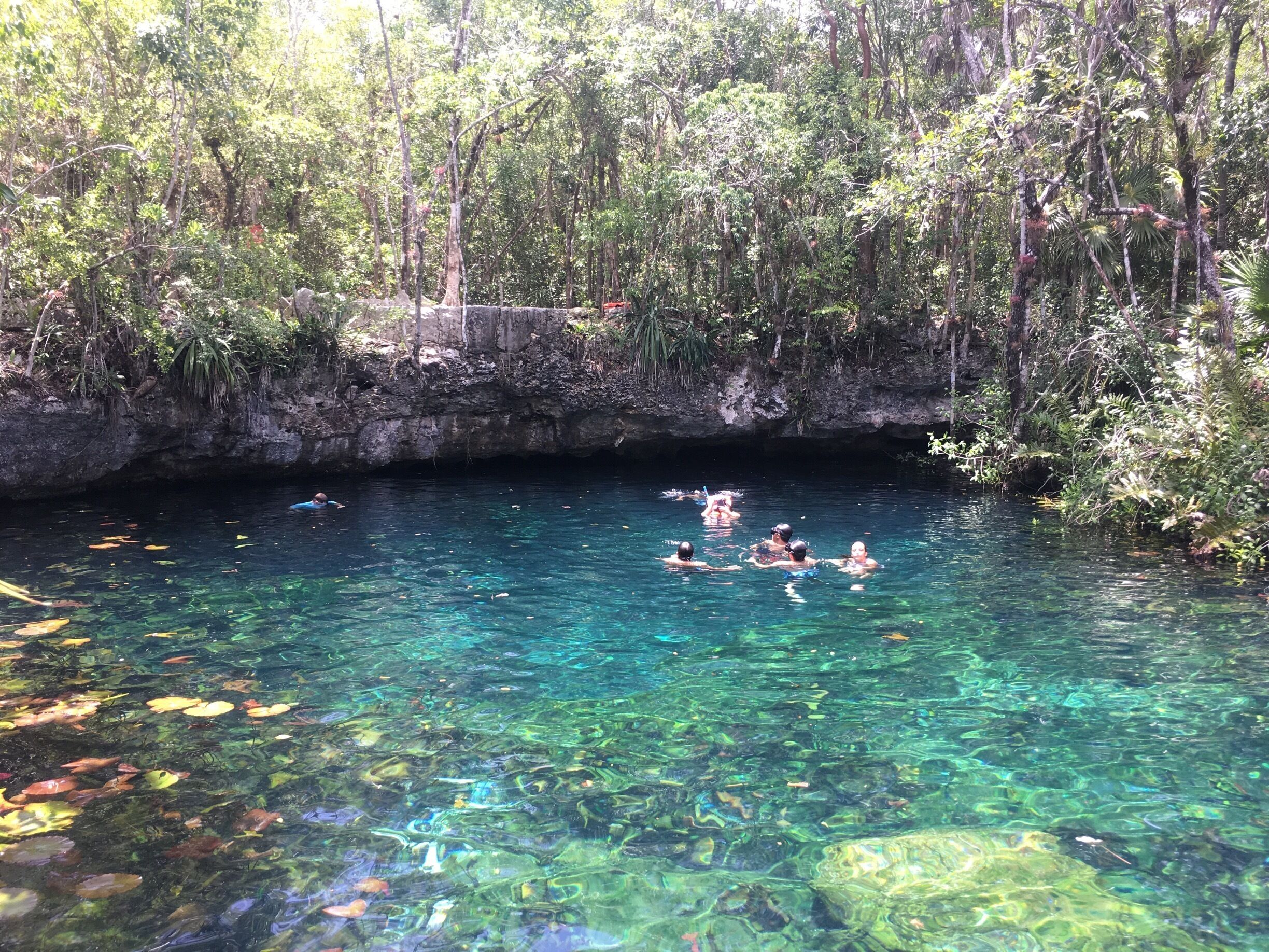 A clear water body surrounded by dense forest.
