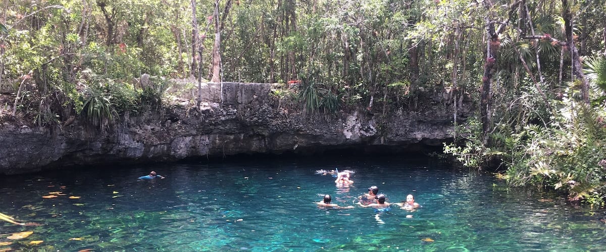 A clear water body surrounded by dense forest.