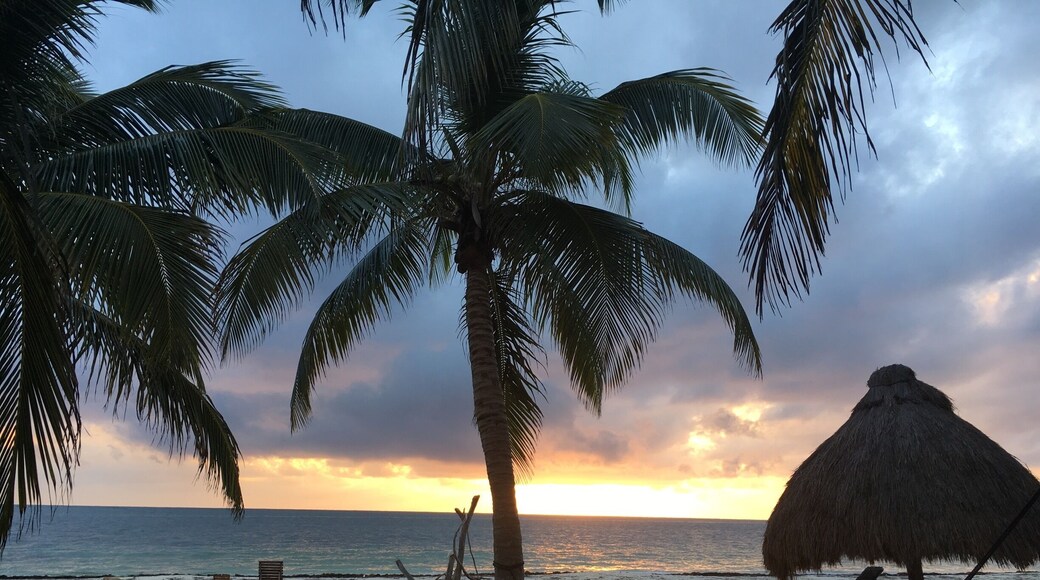 Fantastic place in the jungle and off the beaten track! Wildlife and Mayan ruins at your doorstep