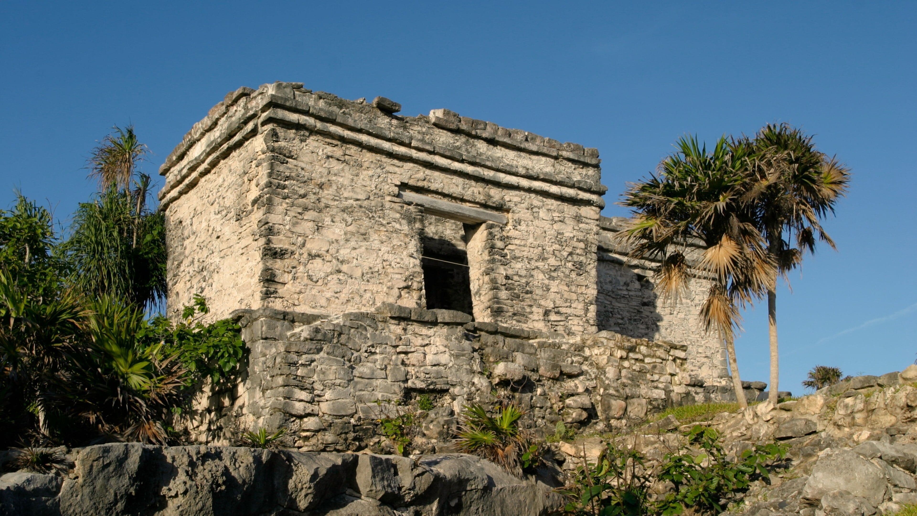 Tulum showing tropical scenes and heritage elements