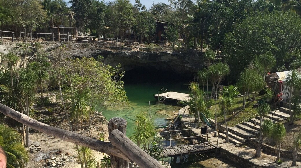 There are four Cenotes three you can swim in. One is in a cave very small another is where you swim ito the cave in a circle back out really fun. It’s a tourist destination we went during the week not a problem with to many people. #LikeAlocal