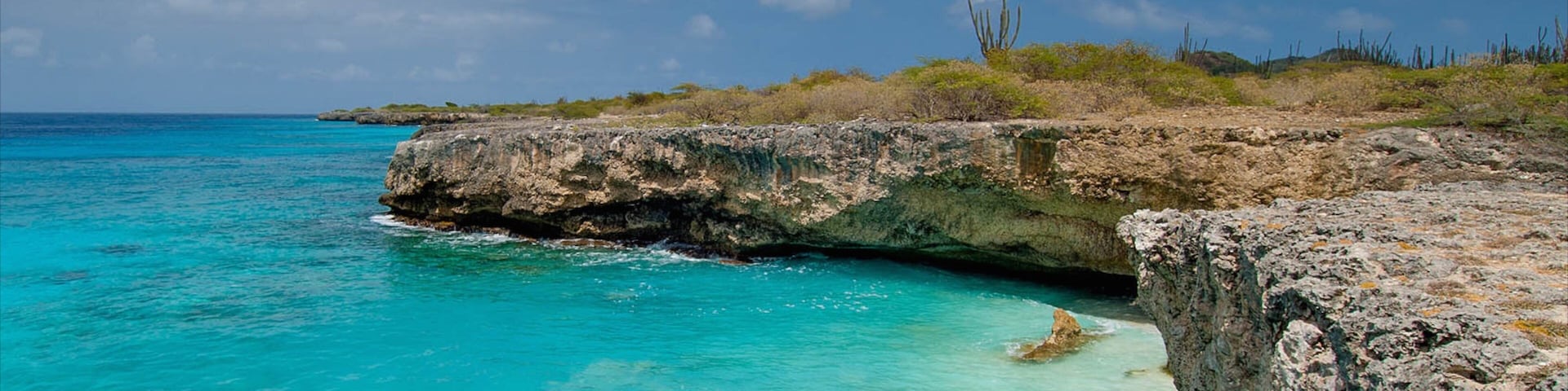 Bonaire which includes rugged coastline