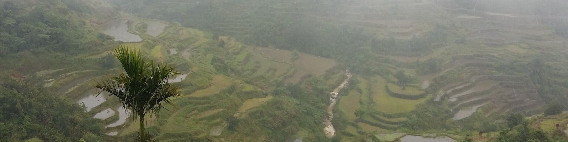 It's foggy coz it's drizzling. Taken last Jan 2, 2016 in View Point, Banaue Ifugao.