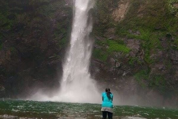 A waterfall in a forested area with a person standing in the water.