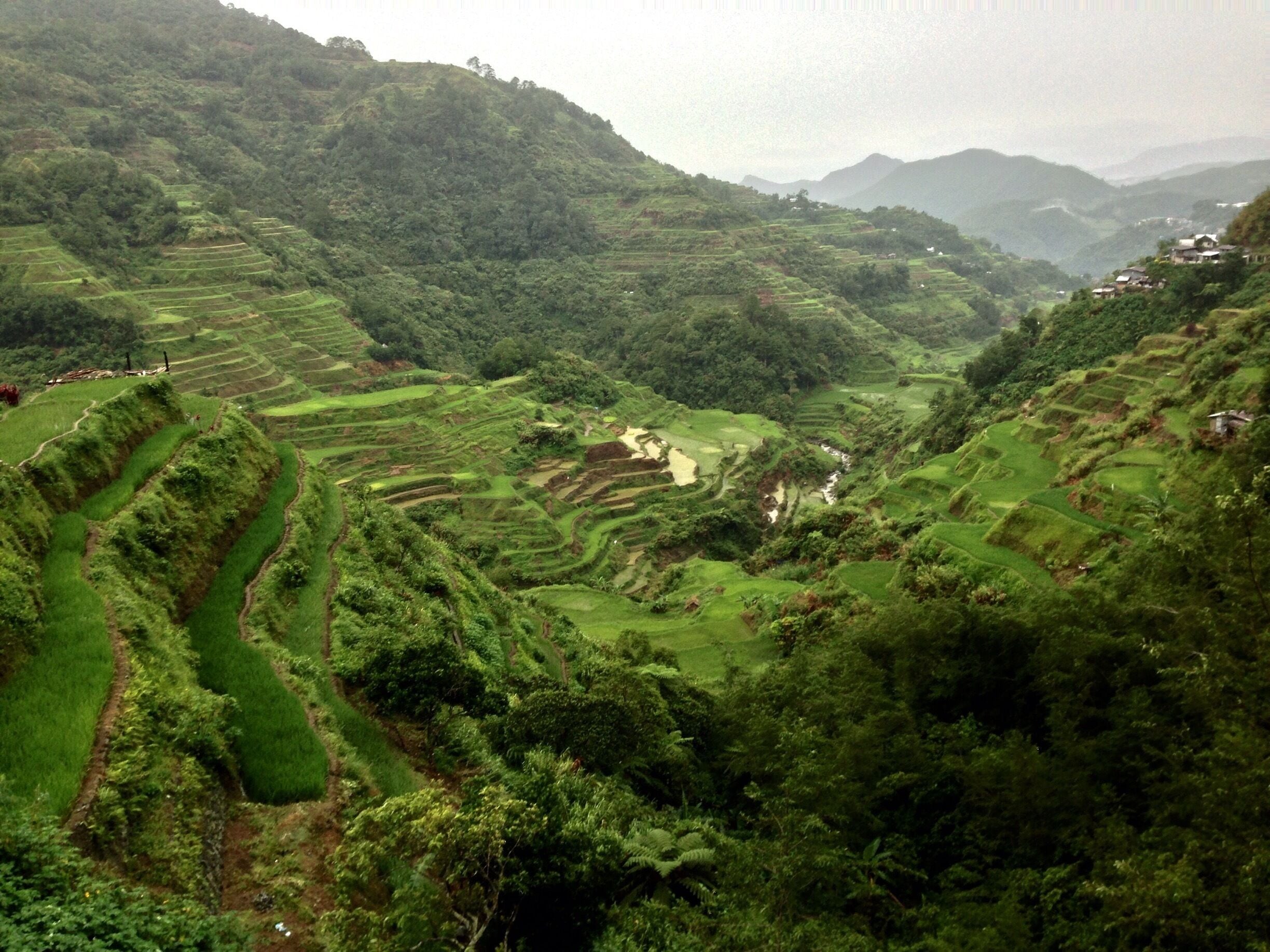 The Banaue Rice Terraces have been deemed the 8th wonder of the world and declared a World heritage site of UNESCO.They were carved from the hillside by the tribes people of Ifugao about 2,000-3,000 years ago.