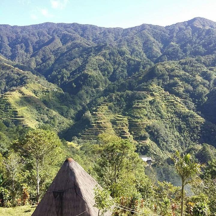 A good weather to stroll.
#HiwangVillageInn #BanaueIfugao #HomeTown