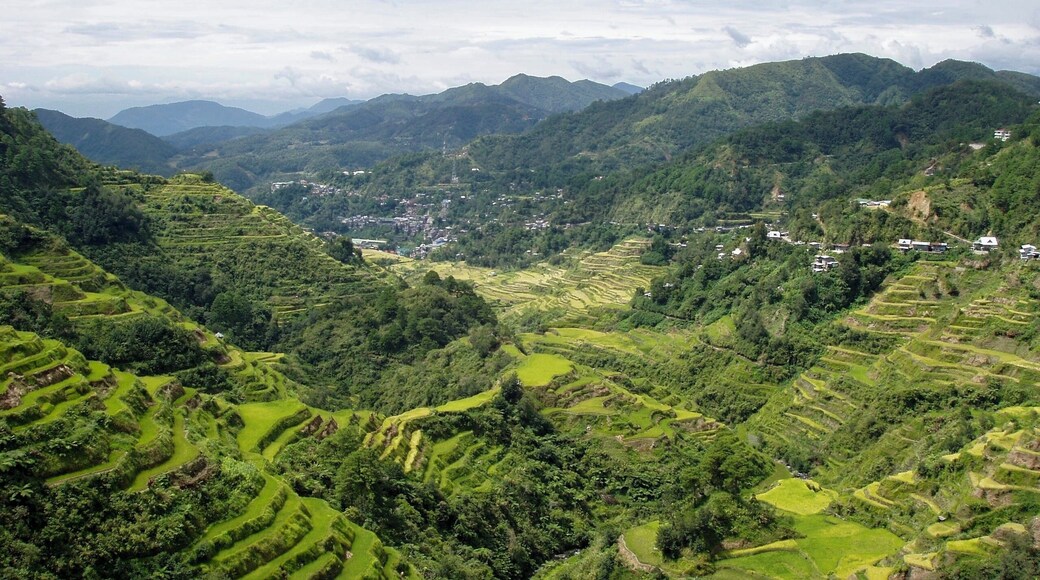 The world famous rice terraces of Banaue, Ifugao, Philippines (Aug 2005).