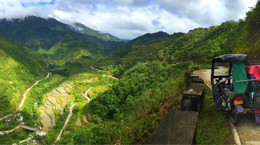 Rice Terraces of Banaue Pano, Philippines #Green