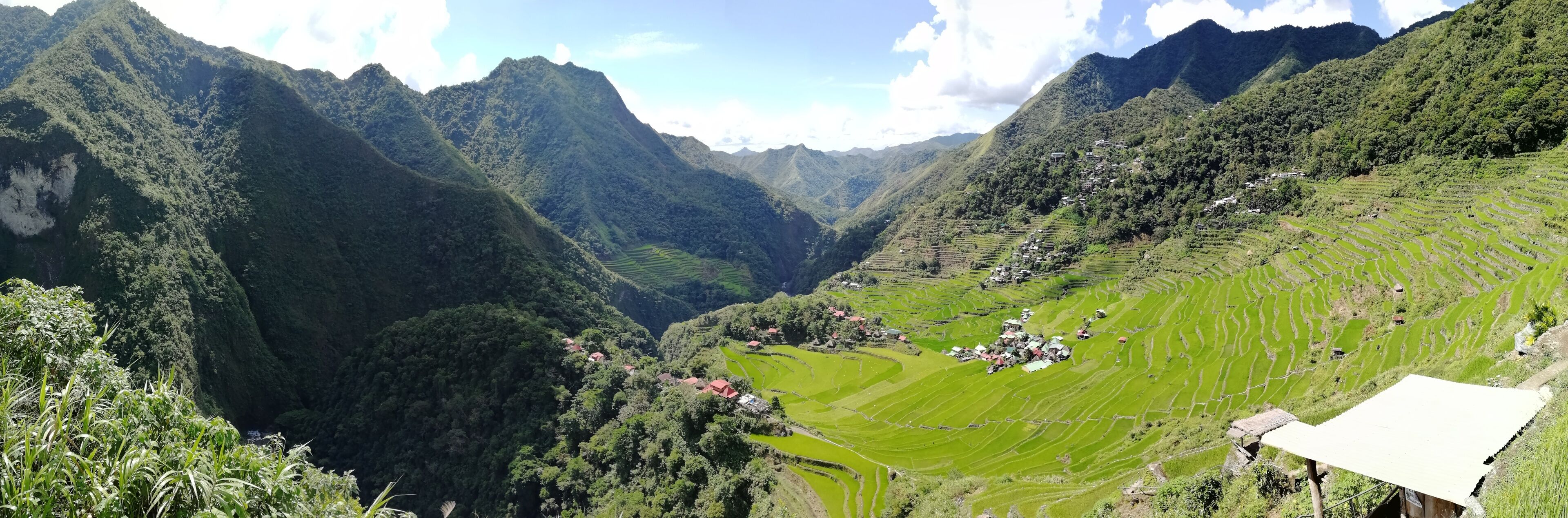 Rice Terraces of the Philippine Cordilleras, rice fields in Banaue region,Philippines ,Asia, rice production traditional agriculture,World Heritage Site consisting of a complex of rice terraces	
