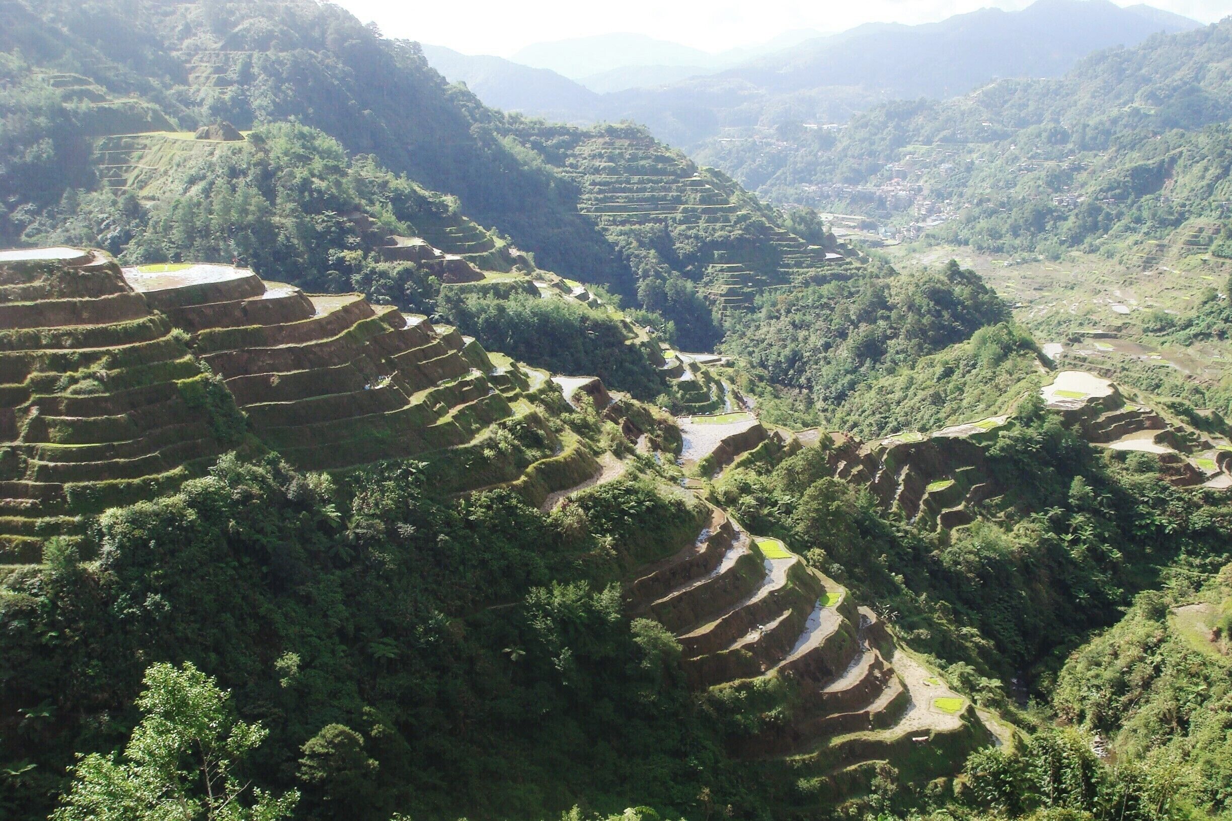 Often dubbed as the '8th Wonder of the World', the Banaue Rice Terraces in Ifugao showcases Filipino ingenuity as its finest.