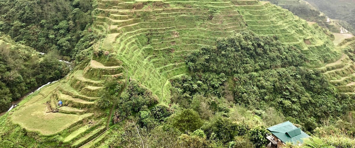 BEAUTIFUL VIEW OF RICE TERRACES TAKEN IN JANUARY AS WE VISITED THIS MAGNIFICENT PLACE WHICH CAN BE FOUND ON THEIR 20 PESO BILL.#LIFEATEXPEDIA