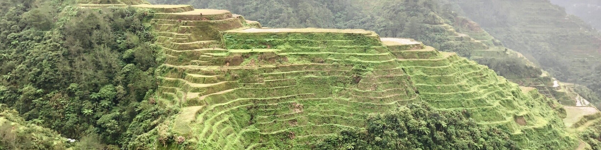 BEAUTIFUL VIEW OF RICE TERRACES TAKEN IN JANUARY AS WE VISITED THIS MAGNIFICENT PLACE WHICH CAN BE FOUND ON THEIR 20 PESO BILL.#LIFEATEXPEDIA