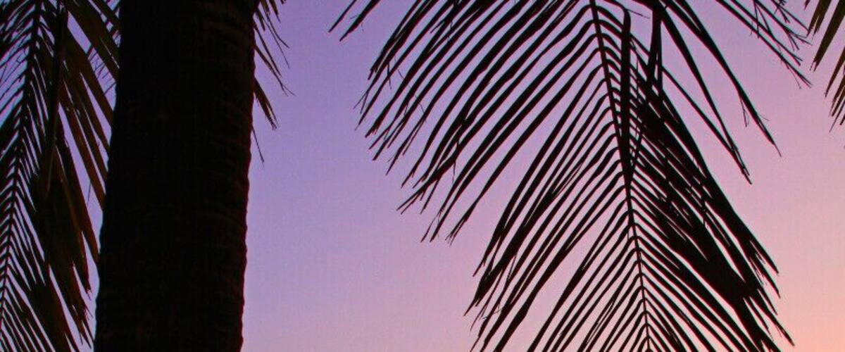Along the beach is a perfect spot to watch sunset. There are kids and adults selling shells jewelry, flowers and other trinkets. Over looking the beach, are bars and restaurants that serve fresh seafood and cold San Miguels well into the early morning hours.