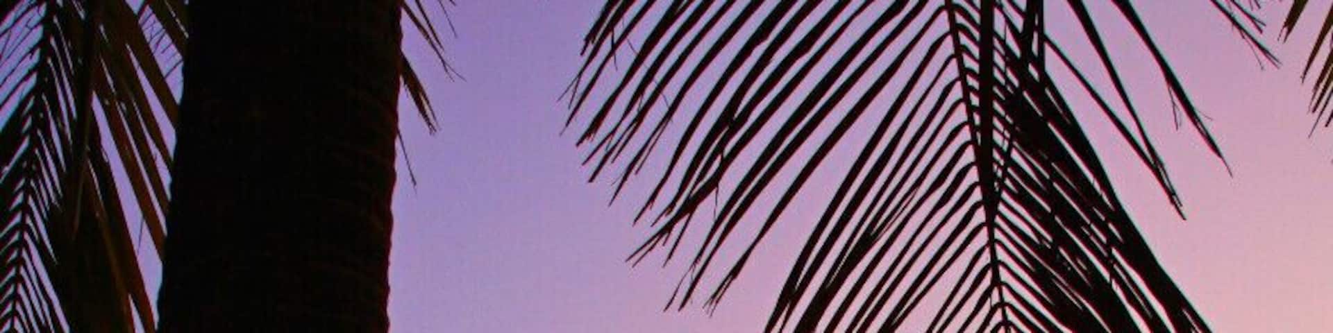 Along the beach is a perfect spot to watch sunset. There are kids and adults selling shells jewelry, flowers and other trinkets. Over looking the beach, are bars and restaurants that serve fresh seafood and cold San Miguels well into the early morning hours.