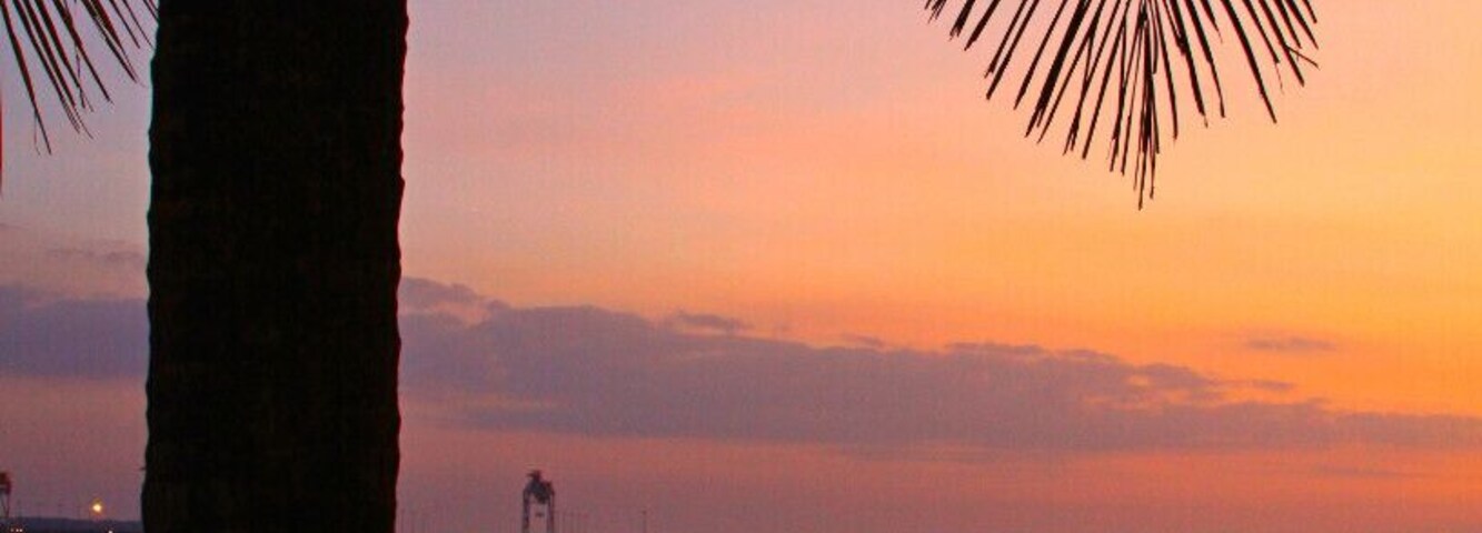 Along the beach is a perfect spot to watch sunset. There are kids and adults selling shells jewelry, flowers and other trinkets. Over looking the beach, are bars and restaurants that serve fresh seafood and cold San Miguels well into the early morning hours.