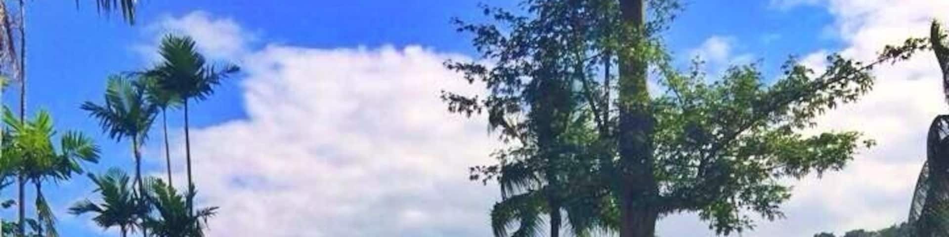 For some reason I feel so blessed just by looking at this smiling Buddha