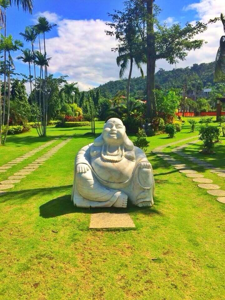 A large Buddha statue in a garden with palm trees and a pathway.
