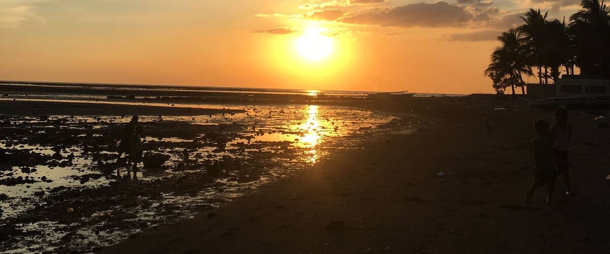 A beach at sunset with the sun low on the horizon, palm trees, and people walking along the shore.