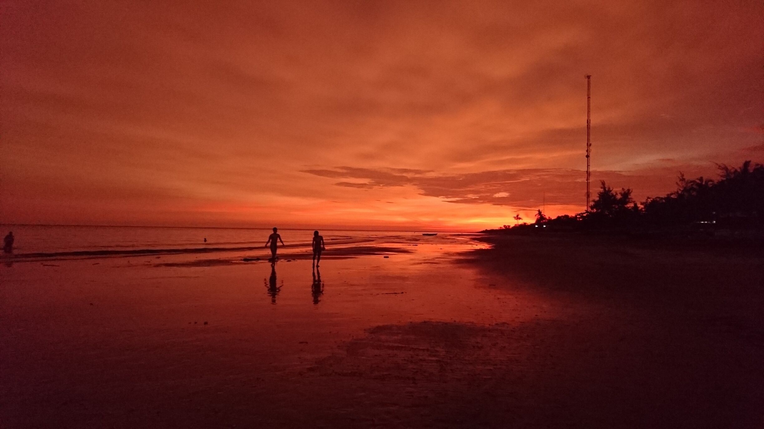 What about this rogue afternoon?