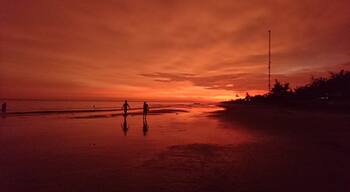 What about this rogue afternoon?