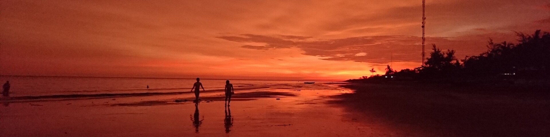 What about this rogue afternoon?