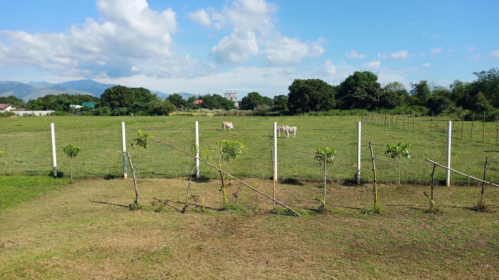 A rural landscape with a fenced field, small trees, and distant mountains.