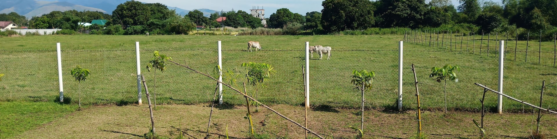 #stressfree
#probinsiyafeels