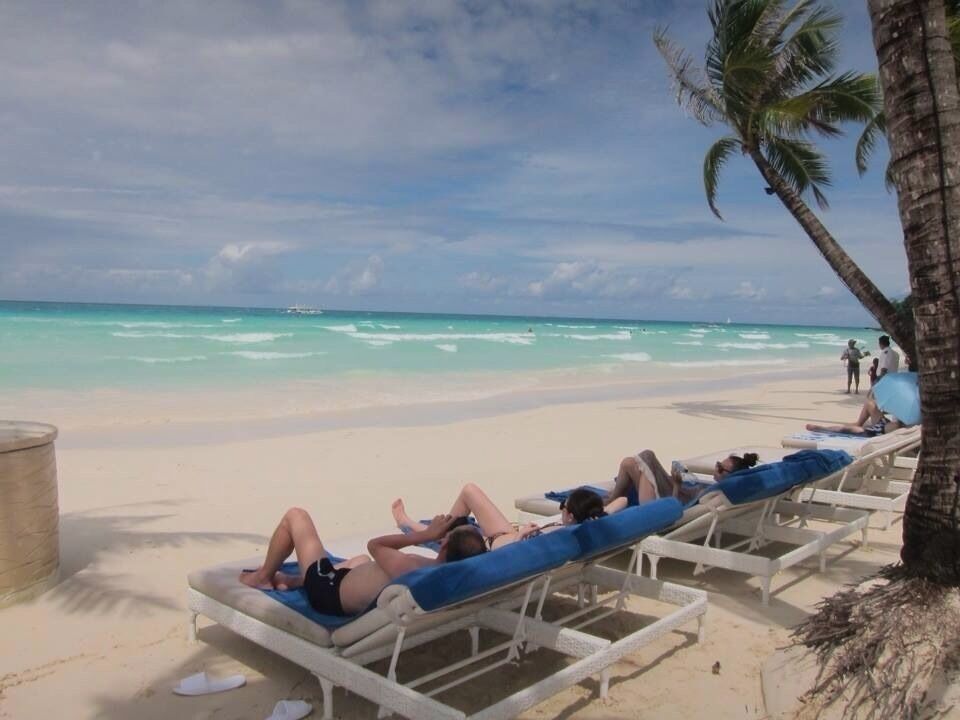 A beach with people sunbathing on lounge chairs, palm trees, and the ocean.