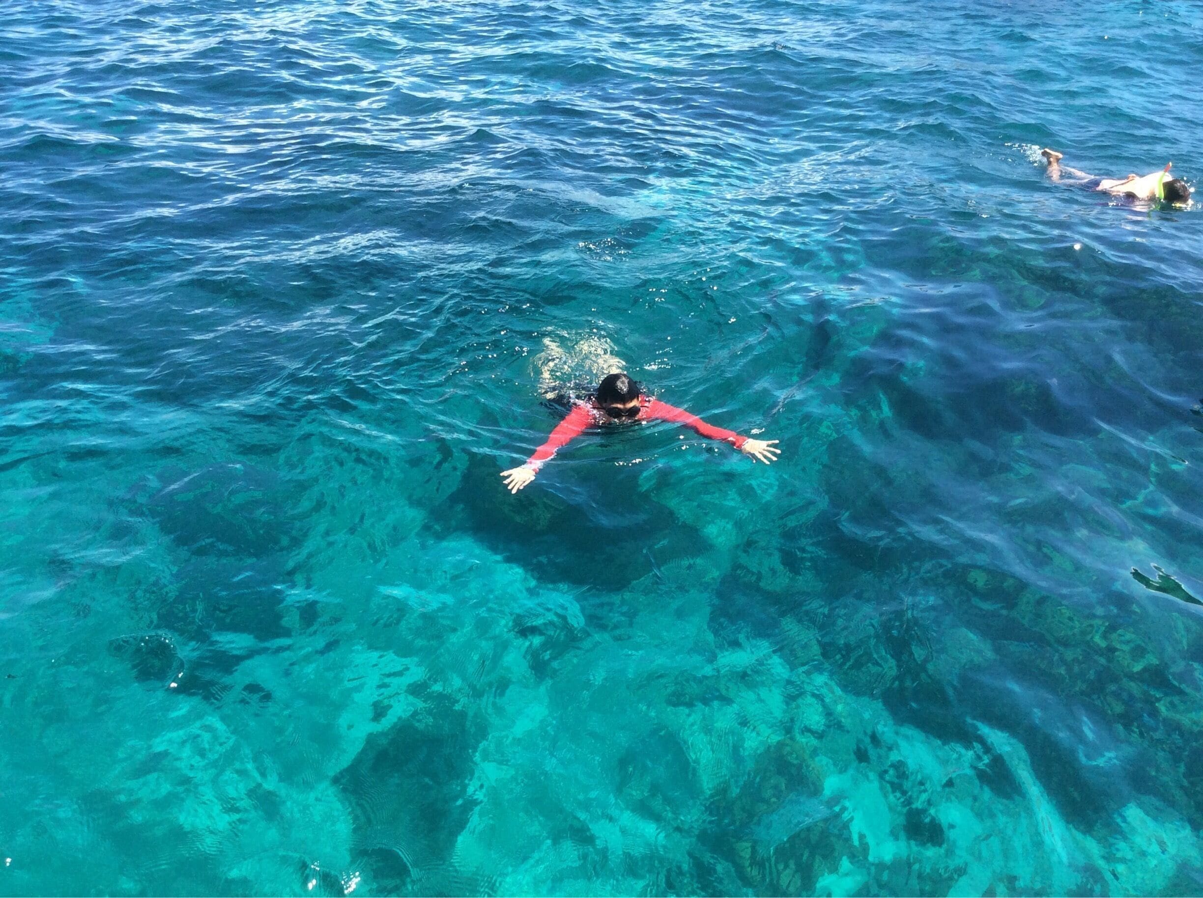 Morning swim