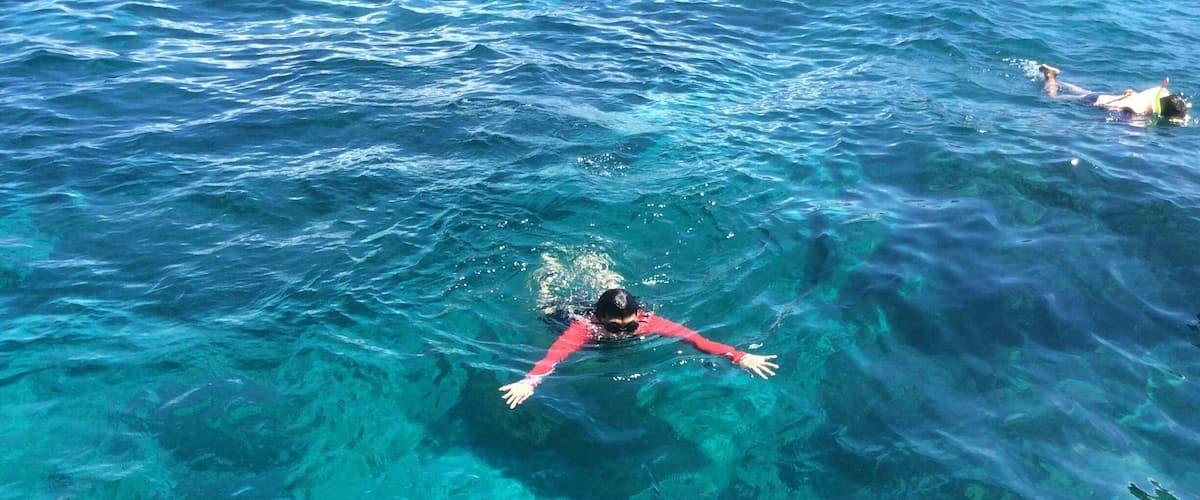 Morning swim