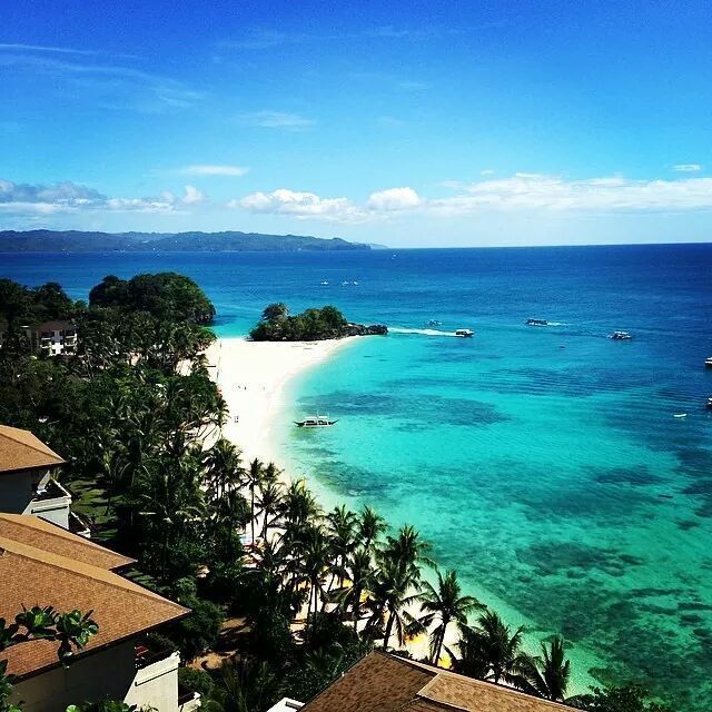 A beach with clear turquoise water, white sand, and palm trees.