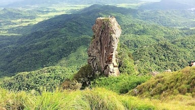 Una formación rocosa destacada en un valle verde exuberante.