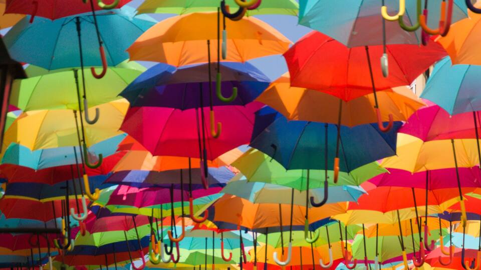 A wall of colorful umbrellas hanging in an art installation.